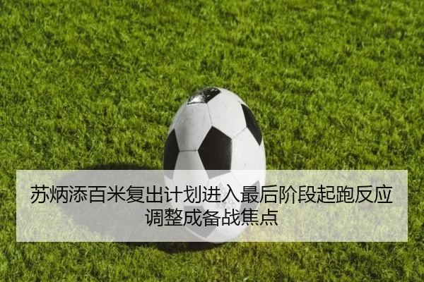 苏炳添百米复出计划进入最后阶段起跑反应调整成备战焦点