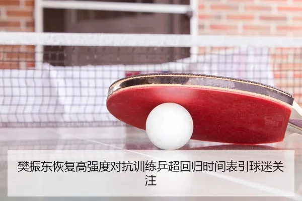 樊振东恢复高强度对抗训练乒超回归时间表引球迷关注