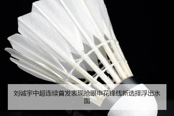 刘诚宇中超连续首发表现抢眼申花锋线新选择浮出水面